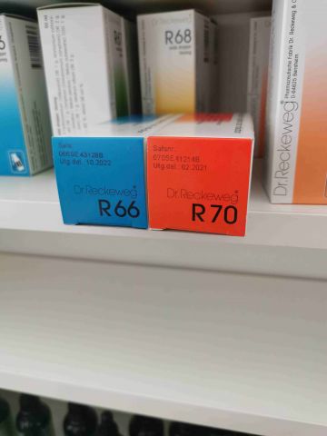 732935-19 Assortment of homeopathic drops etc., i.a. Dr. Reckeweg, Herbalists. Approx: 260 products