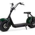 732466-1 Electric Scooter Freev EVR 900R - Forest Green