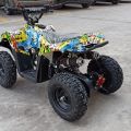 736496-2 49cc Mini ATV