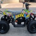 736496-4 49cc Mini ATV