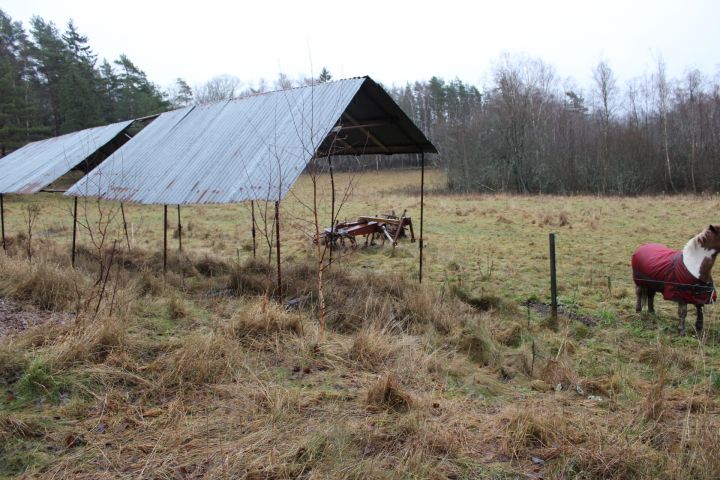 665306-7 Tractor tedder