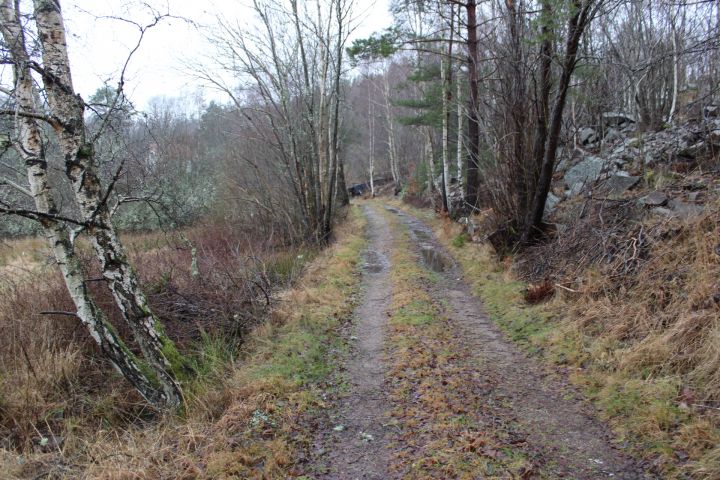 665306-6 Tractor tedder