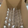 750782-4 Bottles, 100,000 pcs, 500ml, Pet bottles, 5000 250 ml