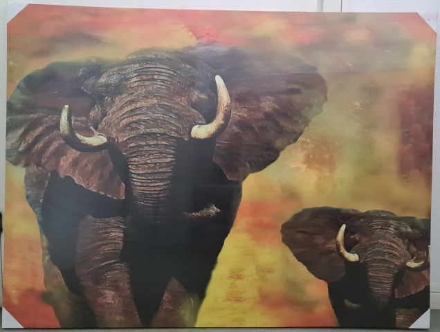 735072-1 2 canvas paintings with elephant motifs
