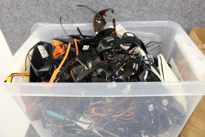 759935-11 Bows & Sunglasses