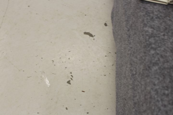 759935-25 Bows & Sunglasses