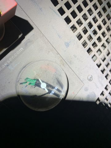 764525-9 Compressor Kaeser SK 26 -1995, dryer and tank