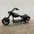 765714-2 Electric scooter Freev EVR 1000 (Service.ex)