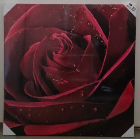 765786-1 Canvas print 60x60 cm Ros