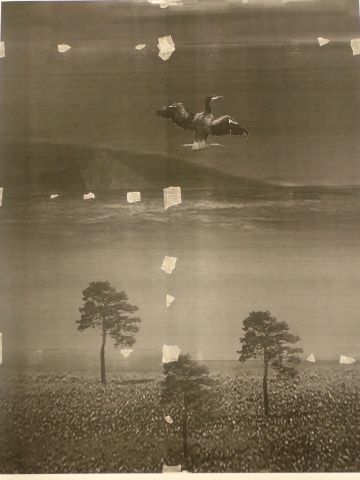 752944-2 Art print framed in acrylic frame by Jonas Malmberg