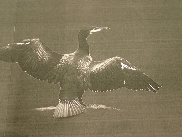 752944-4 Art print framed in acrylic frame by Jonas Malmberg