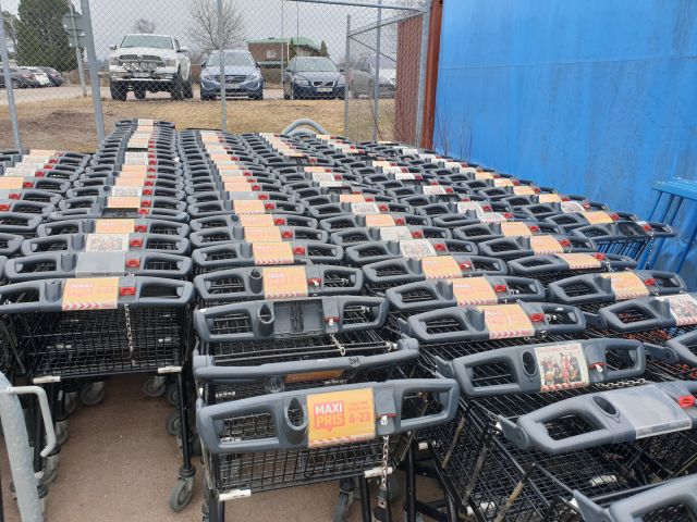 773667-3 Large amount of shopping carts