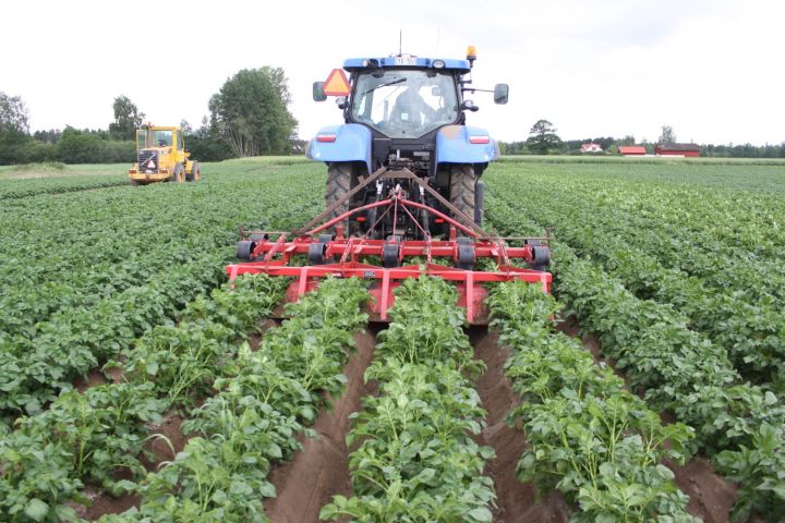 758949-8 Potato cup with cup shaper SHIMDT FSL -96