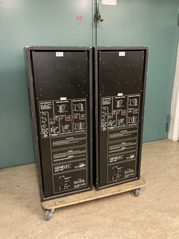 782246-3 Genelec 1086A PA Speakers