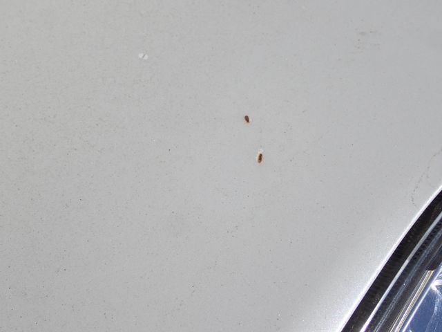 753071-25 SUBARU, BM/BR LEGACY, 2014, 170 hk