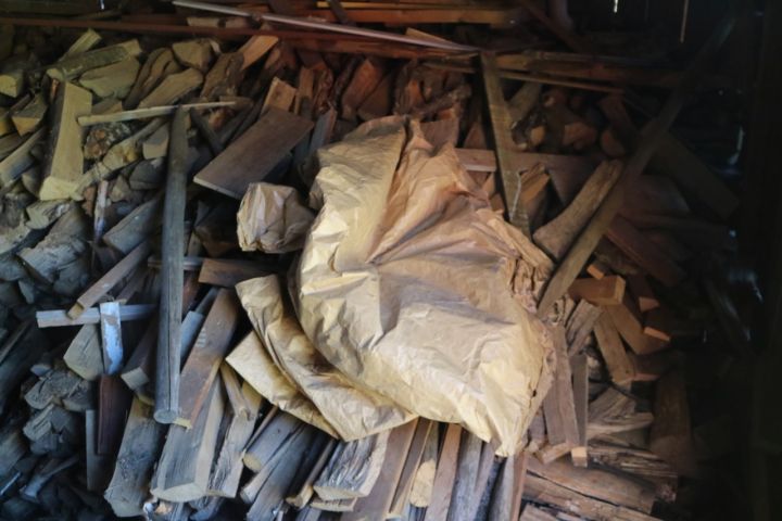 735661-2 Everything in the woodshed