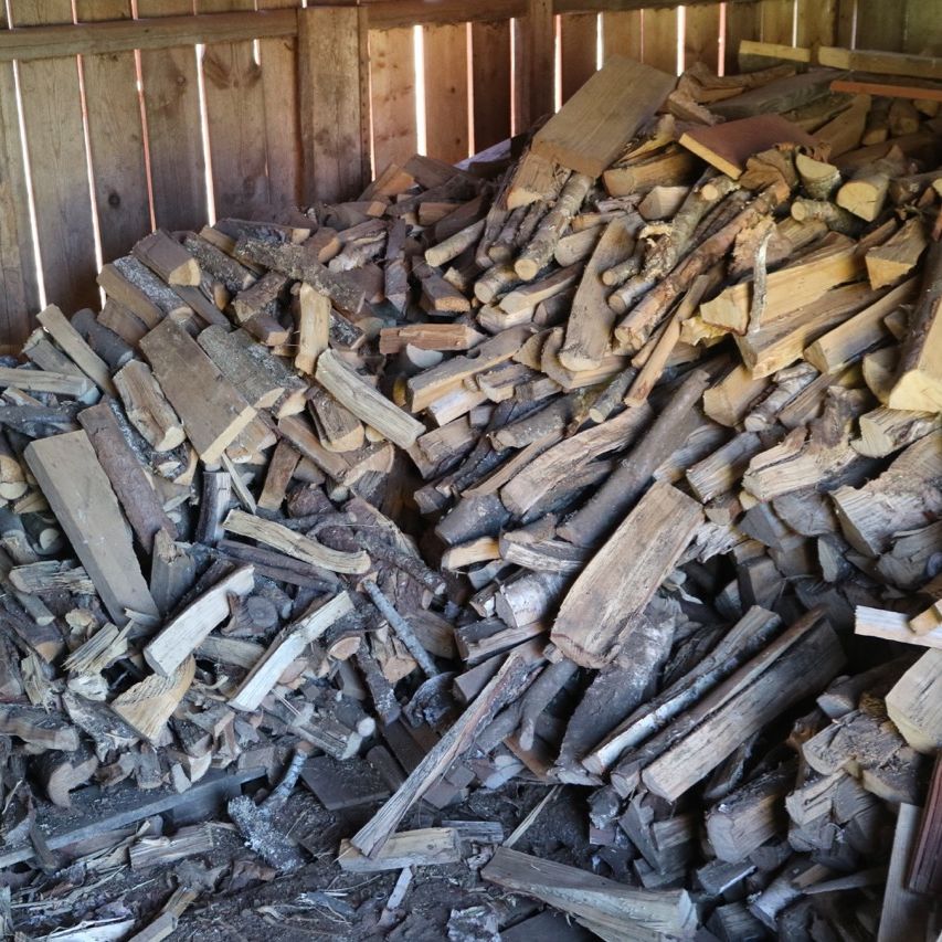 735661-1 Everything in the woodshed