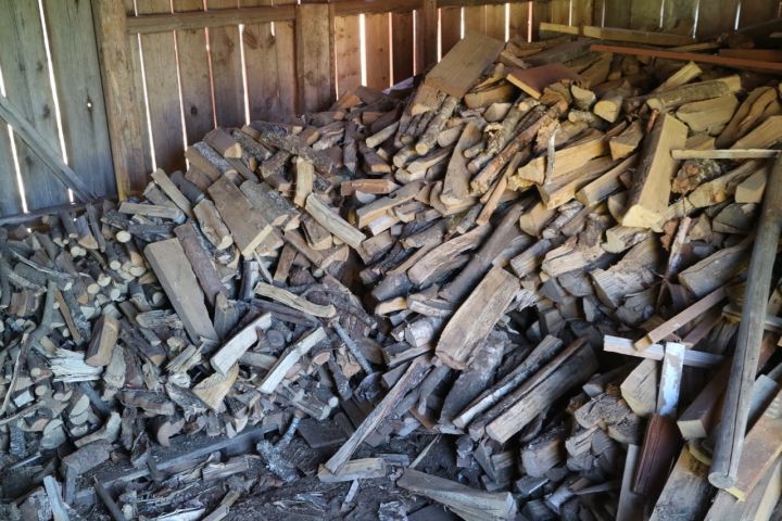 735661-1 Everything in the woodshed