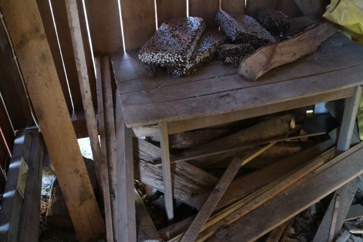 735661-6 Everything in the woodshed