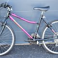 783934-1 Bicycle Bianchi Nyala Rosa (No. 49)