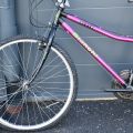 783934-2 Bicycle Bianchi Nyala Rosa (No. 49)