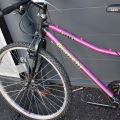 783934-6 Bicycle Bianchi Nyala Rosa (No. 49)