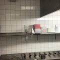 718744-6 Tunnel dishwasher Electrolux WT100 with conveyor belt