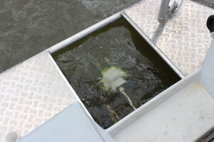 763767-11 Baltic 800 work boat with Vattenjet, Mercruiser 7.3L diesel V8, Garmin 12 "plotter