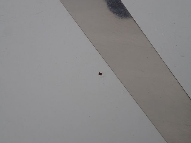 753156-12 MERCEDES-BENZ MB SPRINTER, 2016,. Transport service bus. Reg no. WHR455