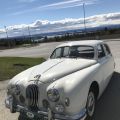 798384-7 Jaguar Mark 1 -1957