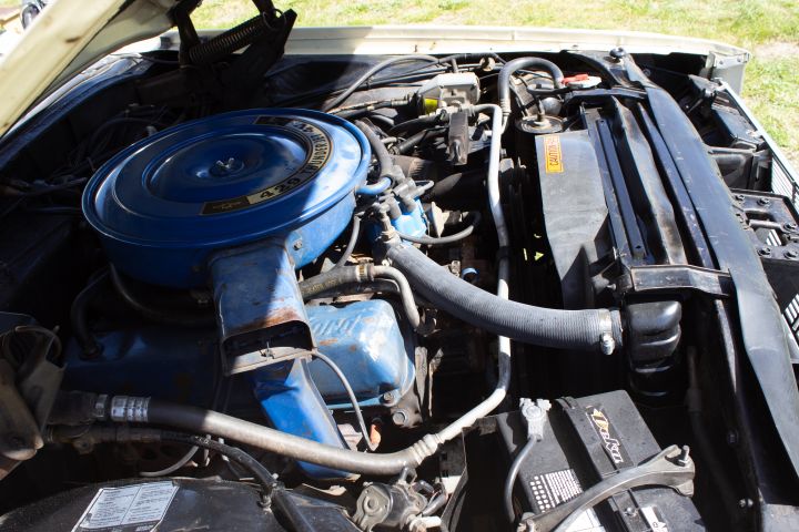 753165-19 Ford Thunderbird -1969