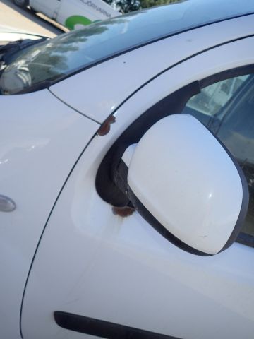 689338-33 Mercedes-Benz Citan- 14, EKL273