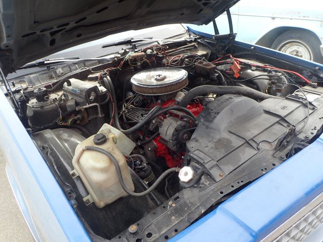 689322-19 Chevrolet Caprice -1980