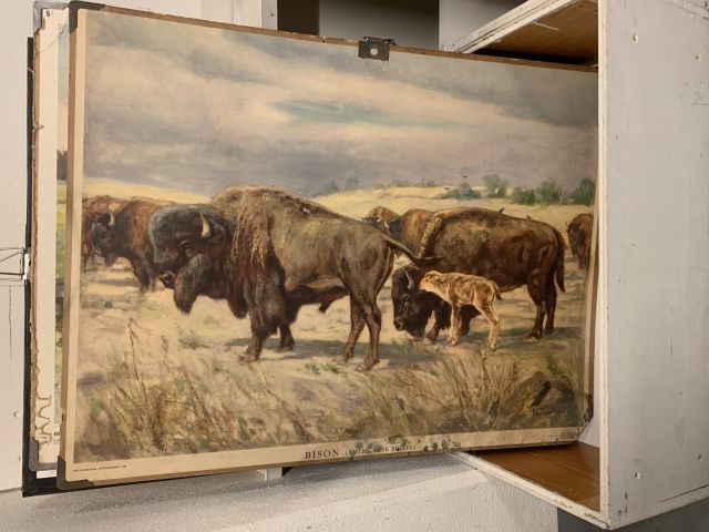 711769-1 16 school posters