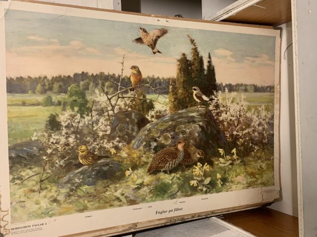 711769-2 16 school posters