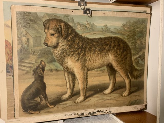 711769-10 16 school posters