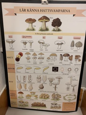 711769-15 16 school posters