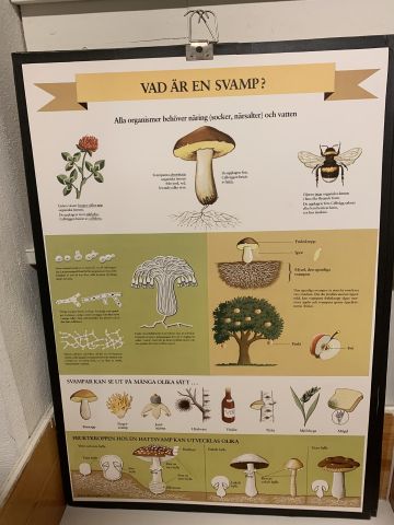 711769-16 16 school posters