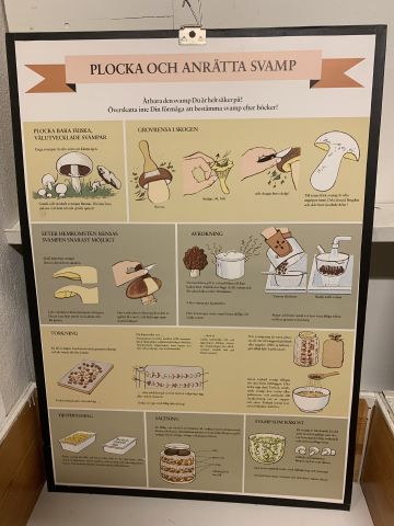 711769-17 16 school posters