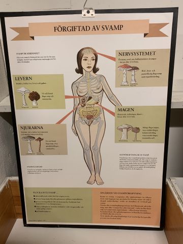 711769-18 16 school posters