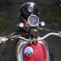 807473-3 Panther 100 600 cc -1952