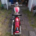 807473-2 Panther 100 600 cc -1952