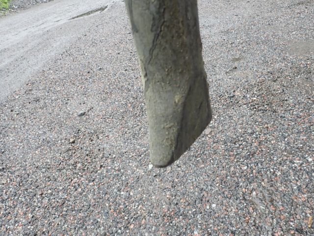 755785-15 Demolition robot Brokk 90