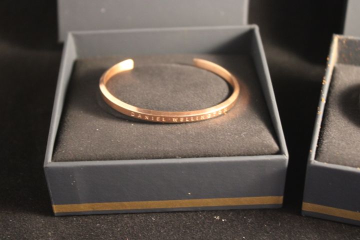 794219-2 Bracelet Daniel Wellington "Classic Bracelet" - 2 pcs "Rose Gold"