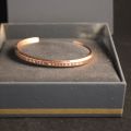 794219-3 Bracelet Daniel Wellington "Classic Bracelet" - 2 pcs "Rose Gold"