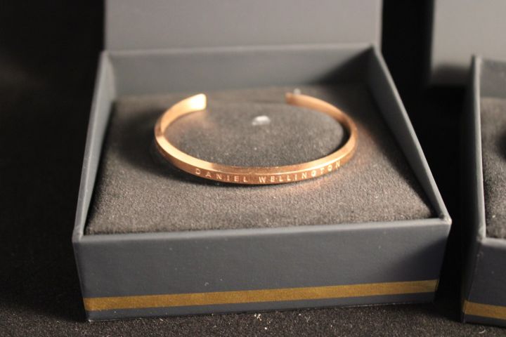 794220-2 Bracelet Daniel Wellington "Classic Bracelet" - 2 pcs "Rose Gold" # 2