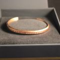 794220-3 Bracelet Daniel Wellington "Classic Bracelet" - 2 pcs "Rose Gold" # 2