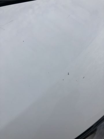 807252-23 CITROEN JUMPY -2017 (CTL161)