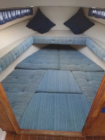 821391-26 FJORD 650 SE with cart