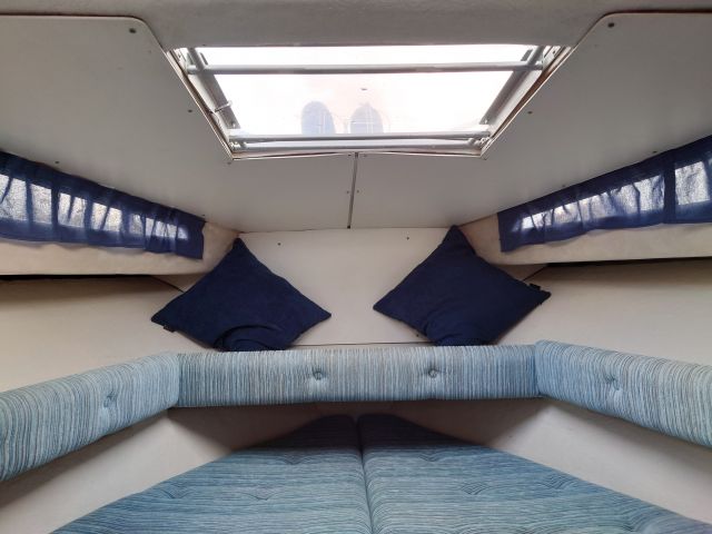 821391-30 FJORD 650 SE with cart